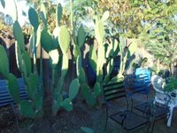 5870 Nina Way, Sacramento, CA 95824