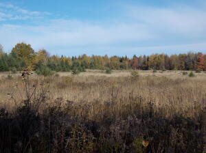 01-31C B Road, Hammond, ME 04730