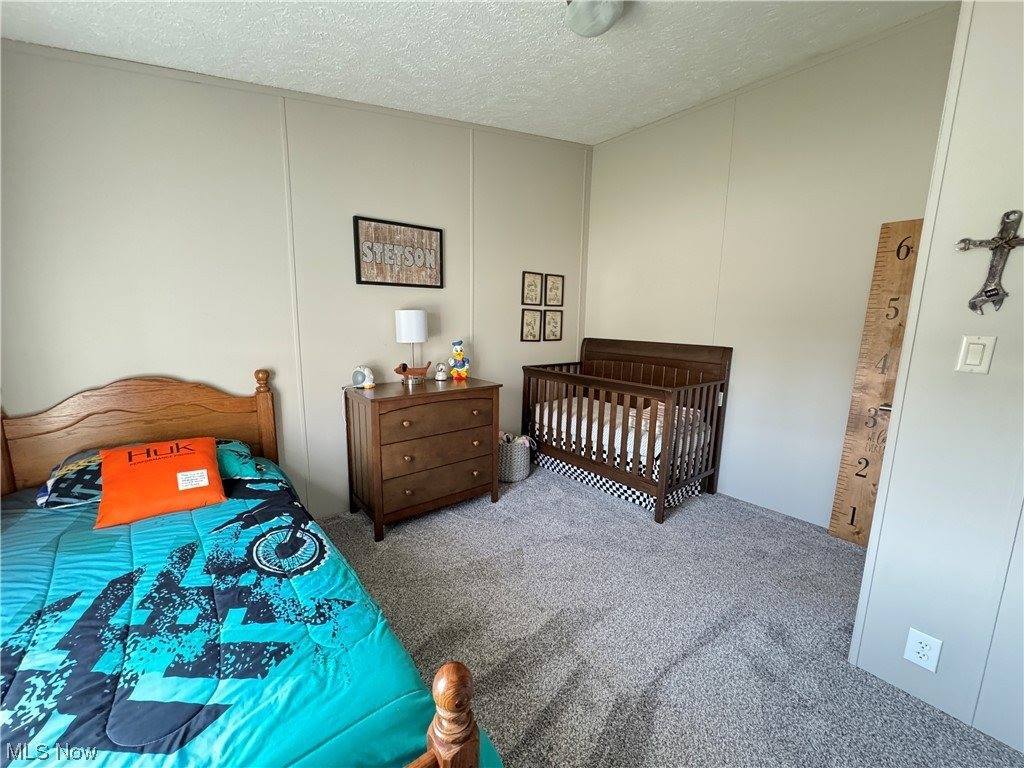 48861 John Tomcho Road, Cumberland, OH 43732