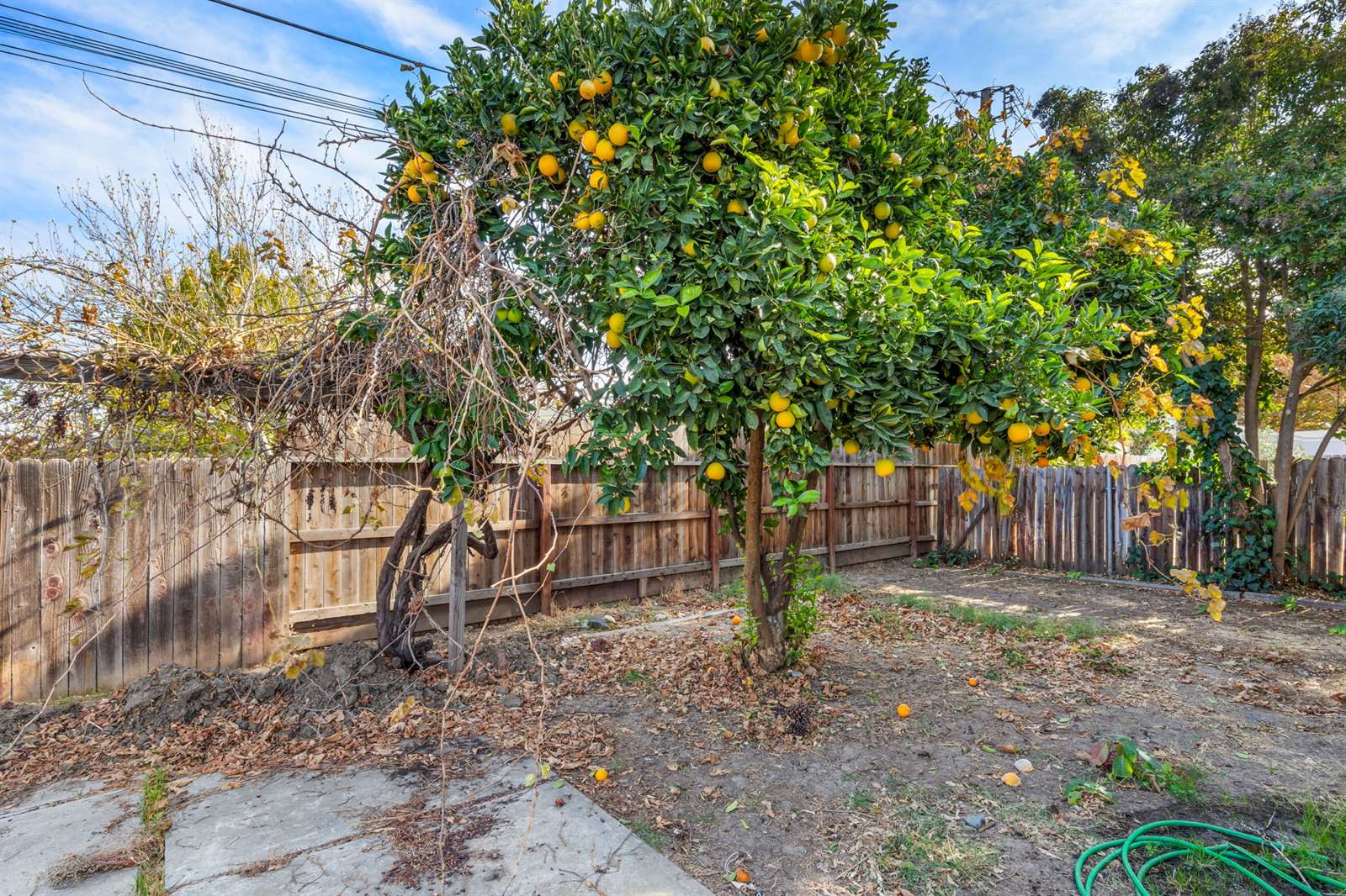 109 Williams St, Woodland, CA 95695