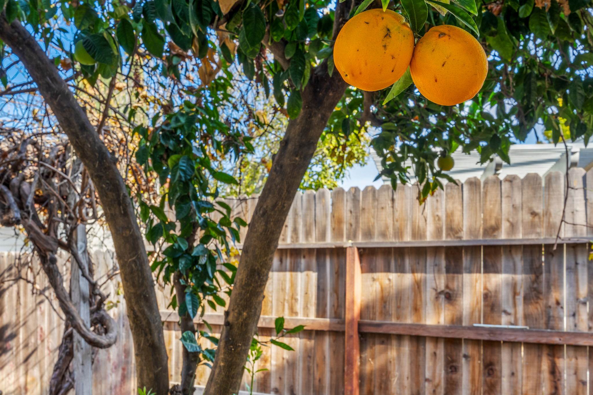 109 Williams St, Woodland, CA 95695