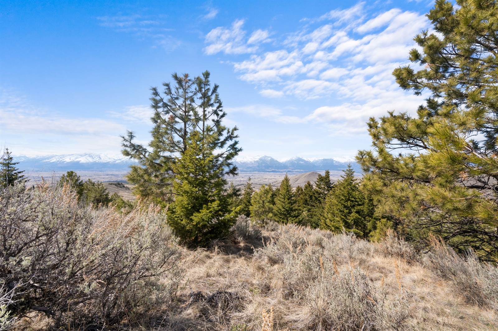 NHN Soft Rock Road, Corvallis, MT 59828