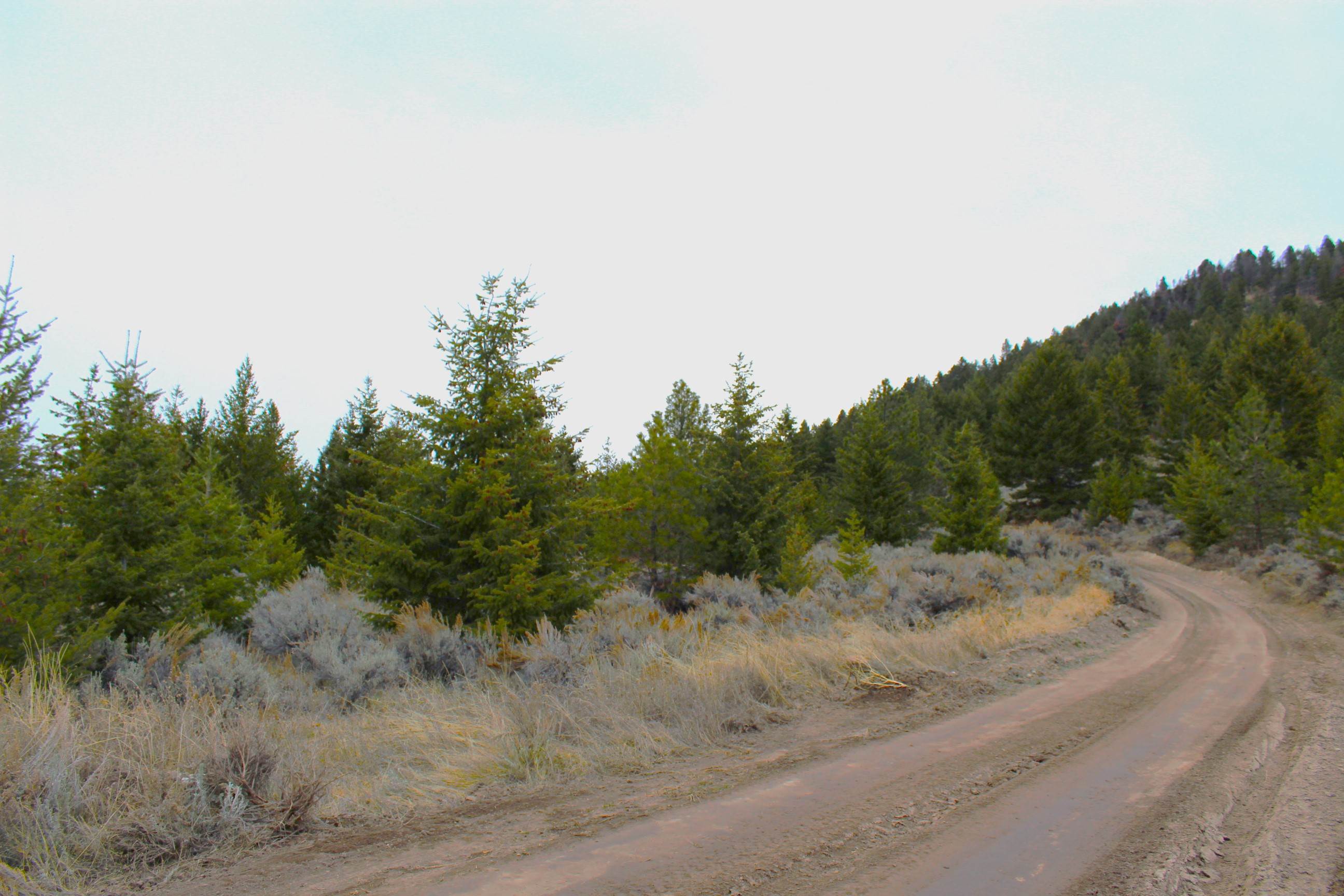 NHN Soft Rock Road, Corvallis, MT 59828