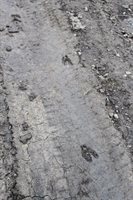 NHN Soft Rock Road, Corvallis, MT 59828