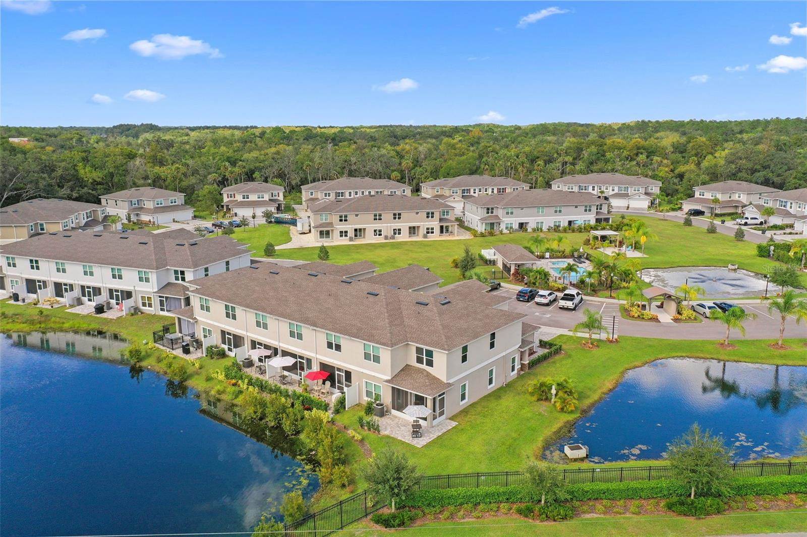 5476 Riverwalk Preserve Drive, New Port Richey, FL 34653