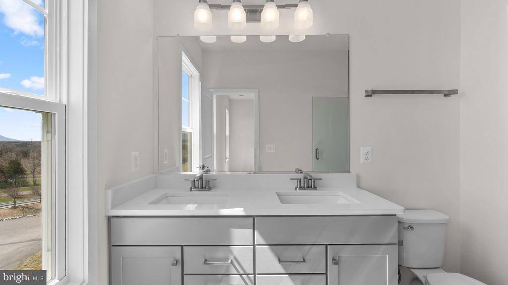 123 Choke Cherry Court, Lake Frederick, VA 22630