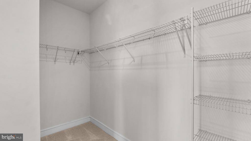 123 Choke Cherry Court, Lake Frederick, VA 22630