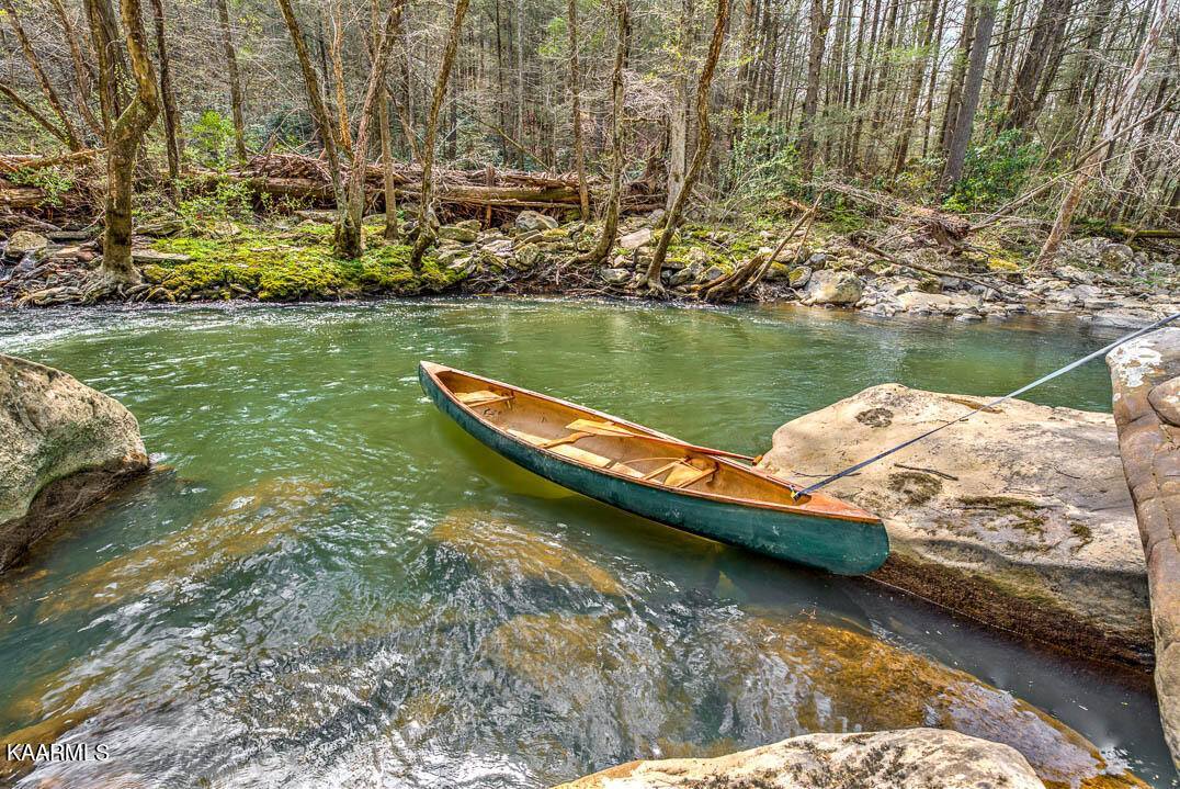 0 French Hamby Rd, Wartburg, TN 37887