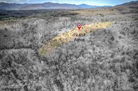 0 French Hamby Rd, Wartburg, TN 37887