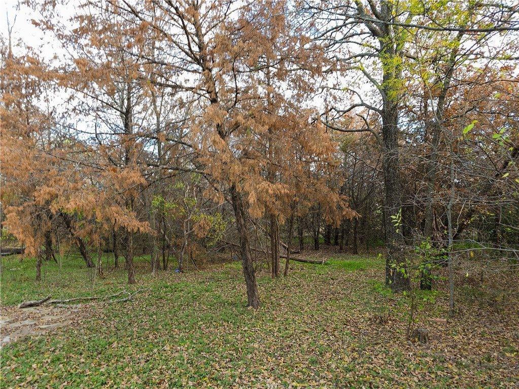 1172 Lincoln City Road, Elm Mott, TX 76640