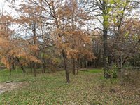 1172 Lincoln City Road, Elm Mott, TX 76640