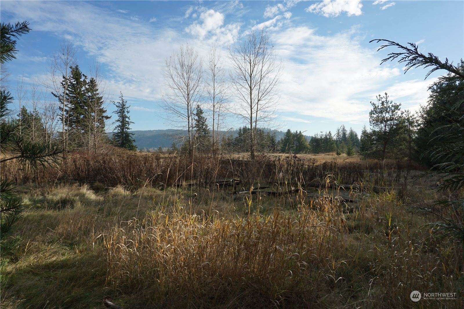 0 Kelly Road, Bellingham, WA 98226