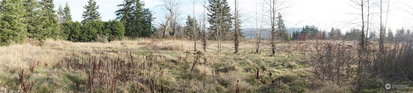 0 Kelly Road, Bellingham, WA 98226