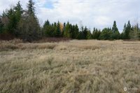 0 Kelly Road, Bellingham, WA 98226