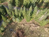 0 Kelly Road, Bellingham, WA 98226