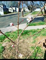 179 Nelson St, West Springfield, MA 01089