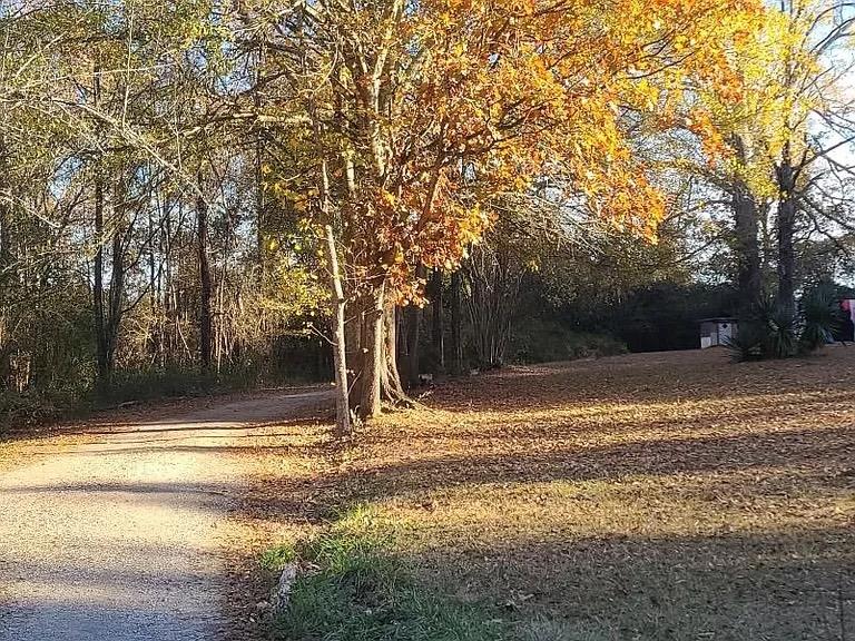 203 Barksdale Ferry Road, Bradley, SC 29819