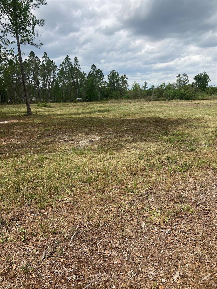Oil Well Rd, Clermont, FL 34714