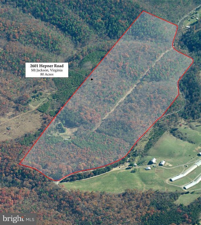 2601 Hepner Road, Mount Jackson, VA 22842