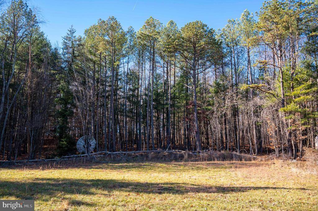 2601 Hepner Road, Mount Jackson, VA 22842