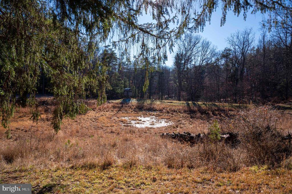 2601 Hepner Road, Mount Jackson, VA 22842