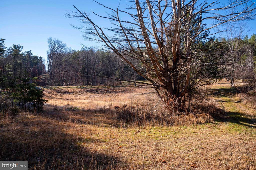 2601 Hepner Road, Mount Jackson, VA 22842