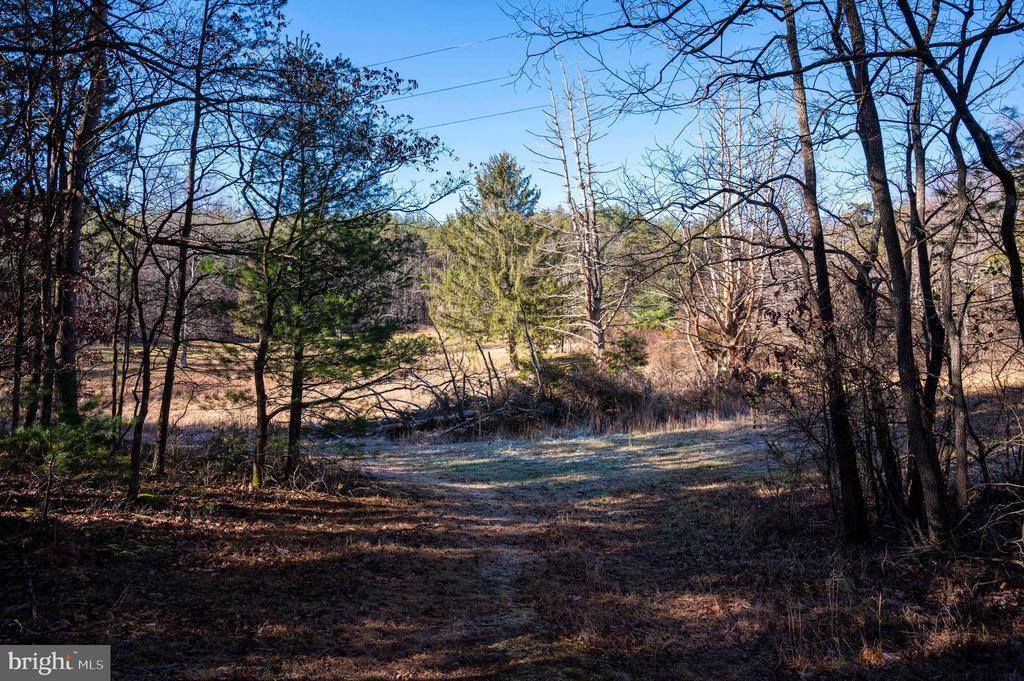 2601 Hepner Road, Mount Jackson, VA 22842