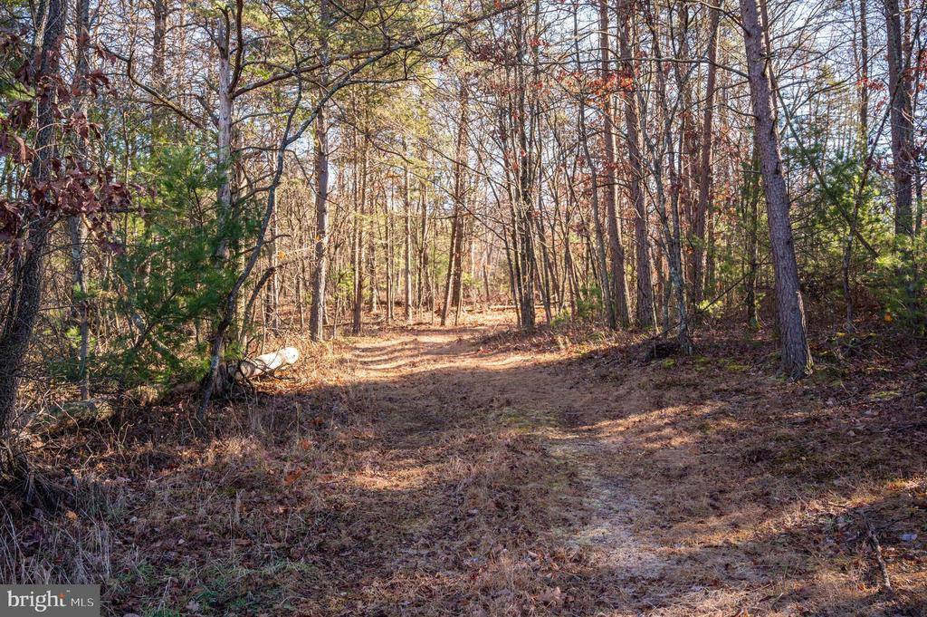 2601 Hepner Road, Mount Jackson, VA 22842