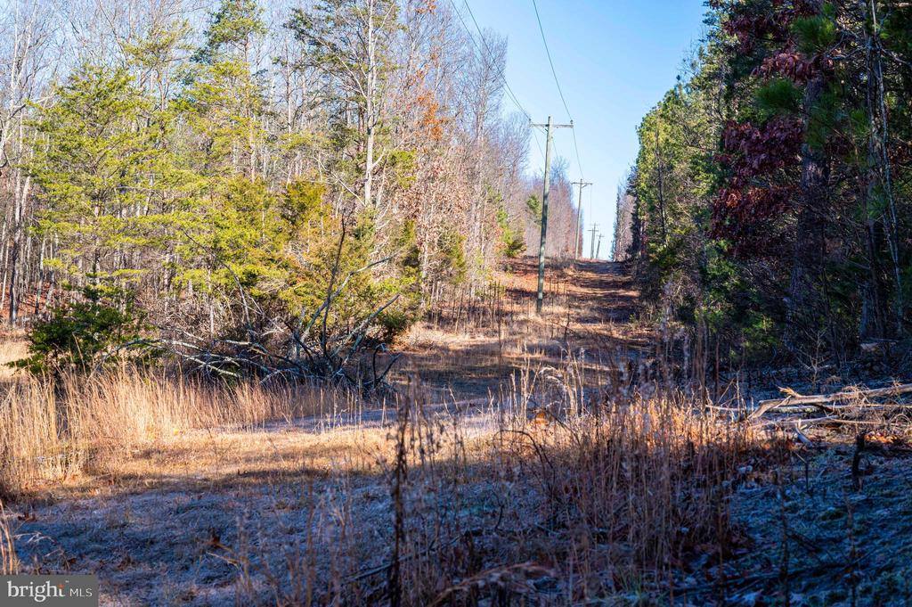 2601 Hepner Road, Mount Jackson, VA 22842