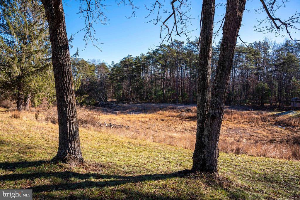 2601 Hepner Road, Mount Jackson, VA 22842