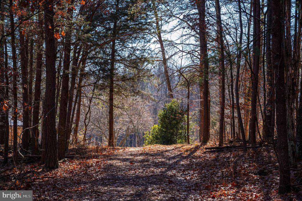 2601 Hepner Road, Mount Jackson, VA 22842