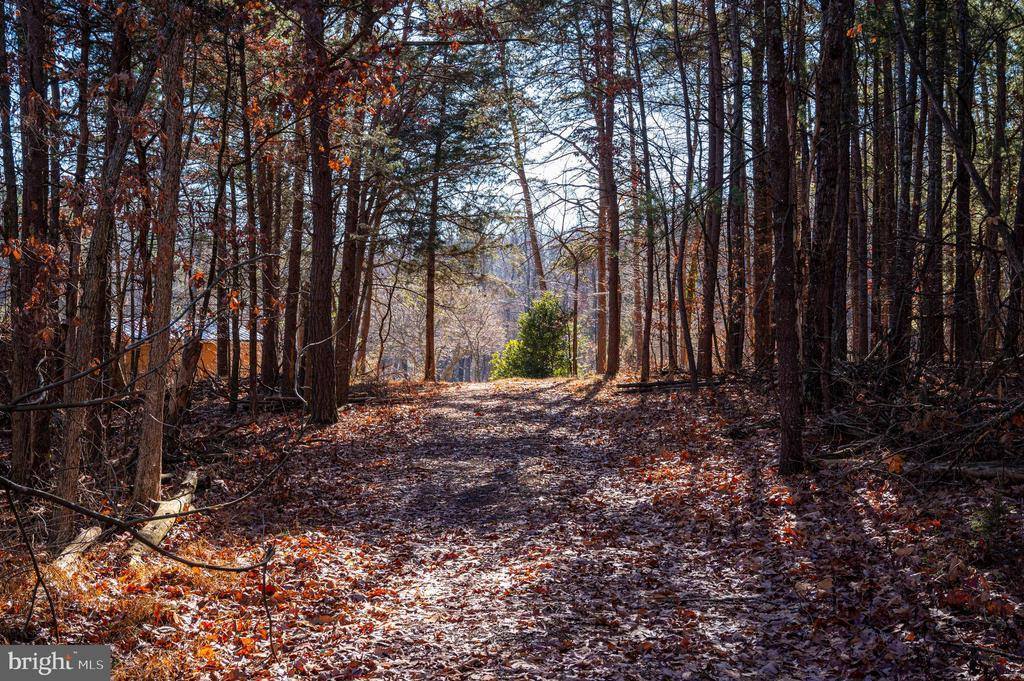 2601 Hepner Road, Mount Jackson, VA 22842