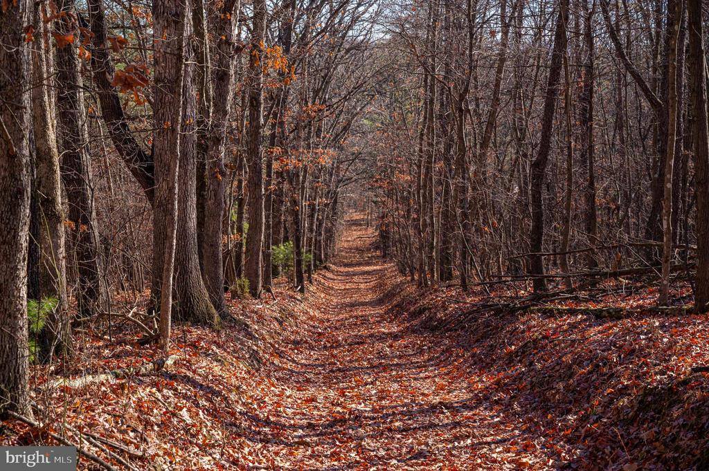 2601 Hepner Road, Mount Jackson, VA 22842