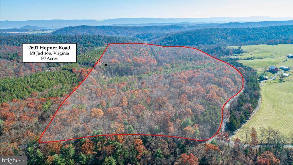 2601 Hepner Road, Mount Jackson, VA 22842