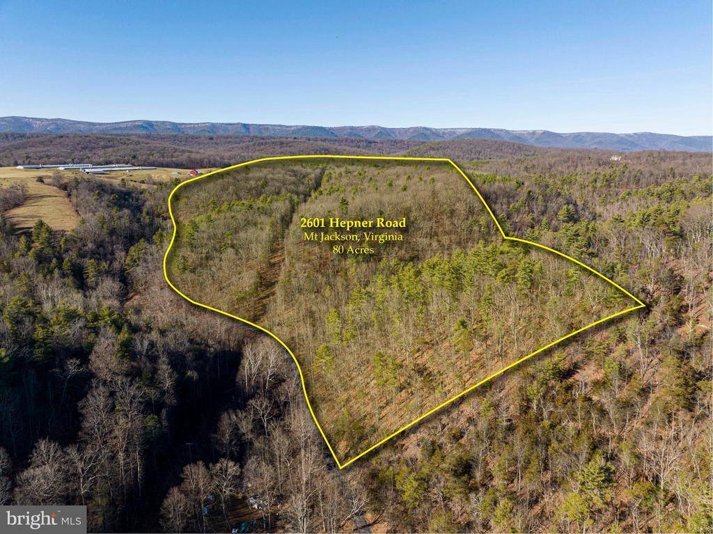 2601 Hepner Road, Mount Jackson, VA 22842