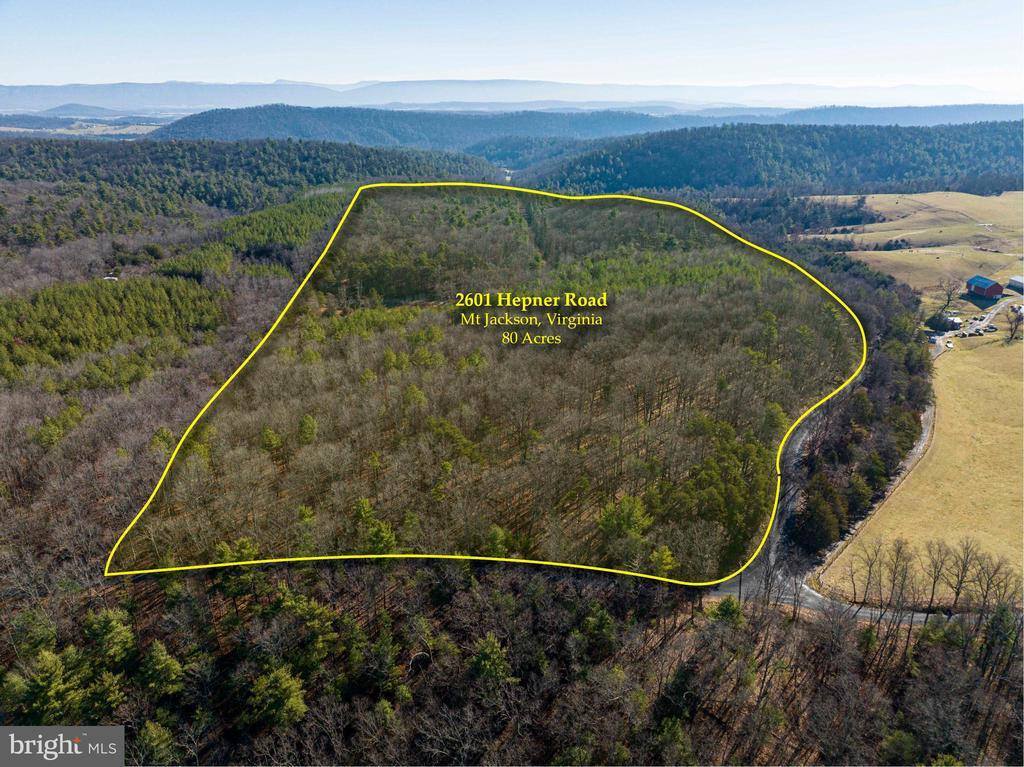2601 Hepner Road, Mount Jackson, VA 22842