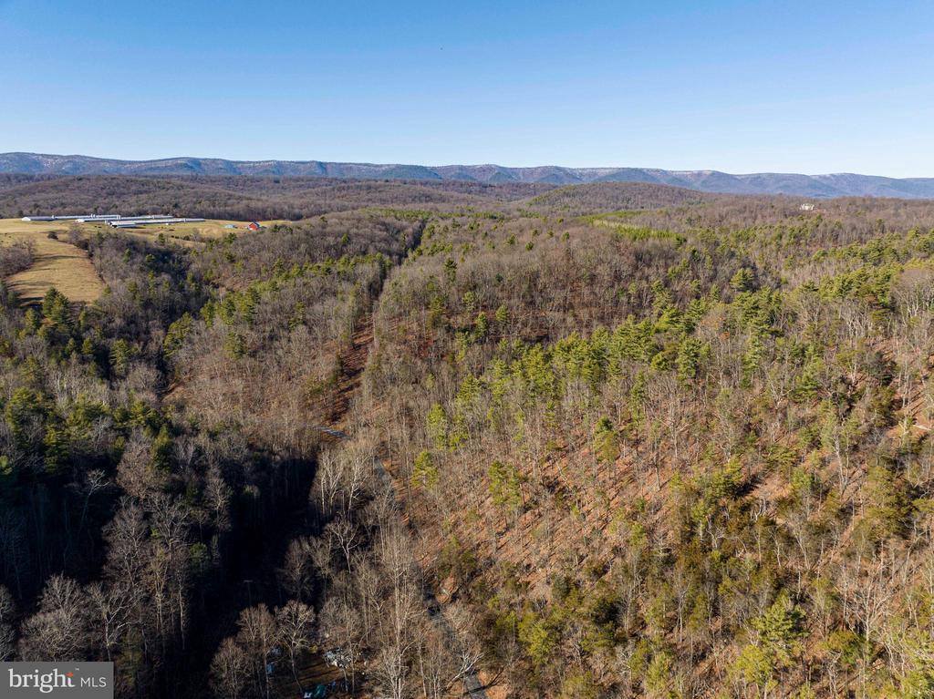 2601 Hepner Road, Mount Jackson, VA 22842