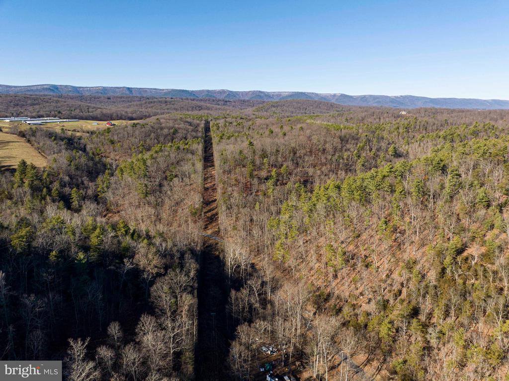 2601 Hepner Road, Mount Jackson, VA 22842