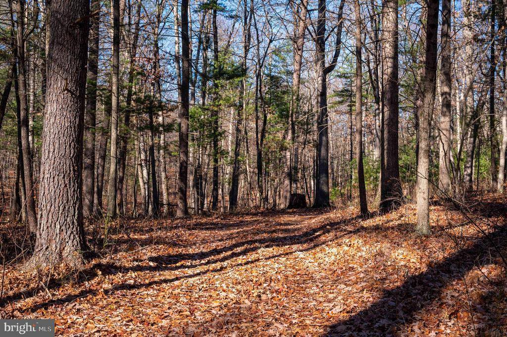 2601 Hepner Road, Mount Jackson, VA 22842