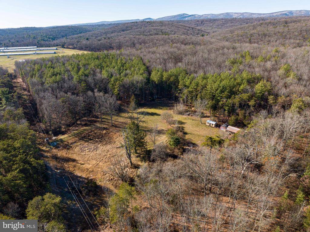 2601 Hepner Road, Mount Jackson, VA 22842