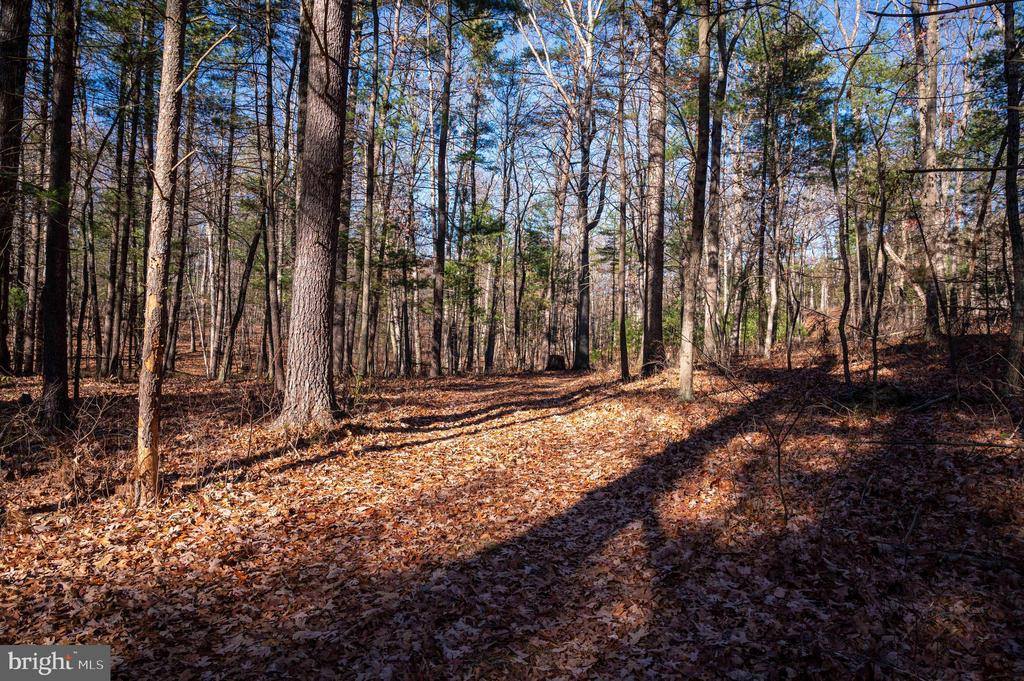 2601 Hepner Road, Mount Jackson, VA 22842