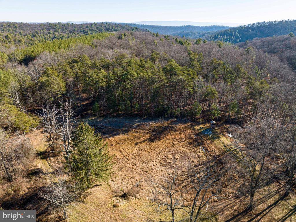 2601 Hepner Road, Mount Jackson, VA 22842
