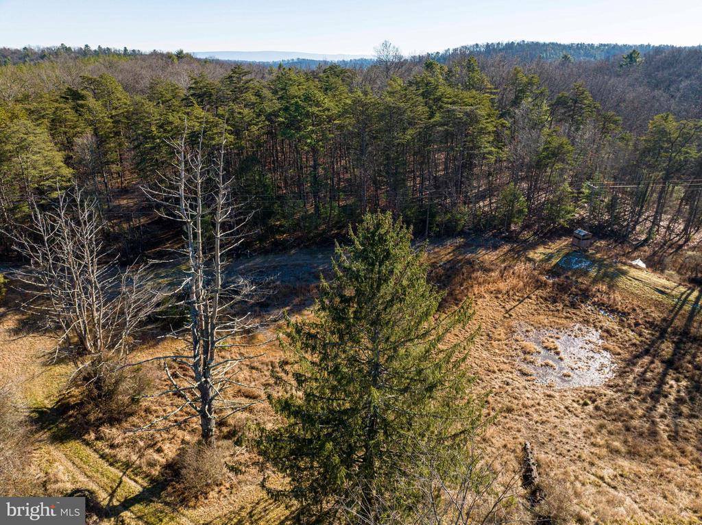 2601 Hepner Road, Mount Jackson, VA 22842