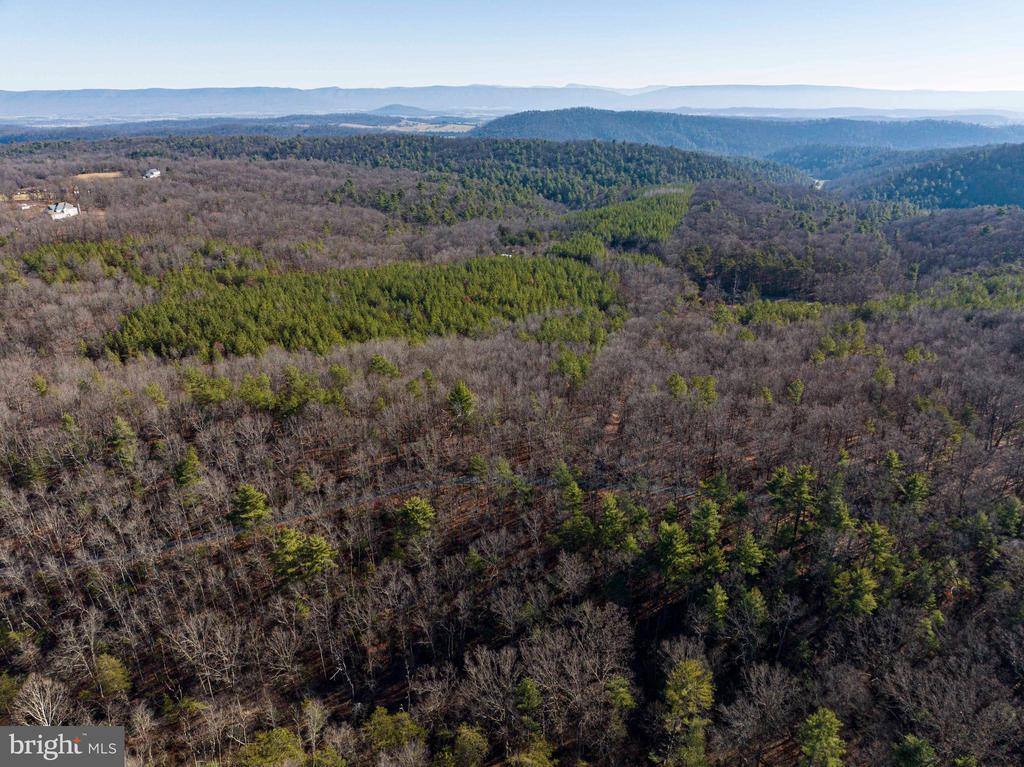 2601 Hepner Road, Mount Jackson, VA 22842