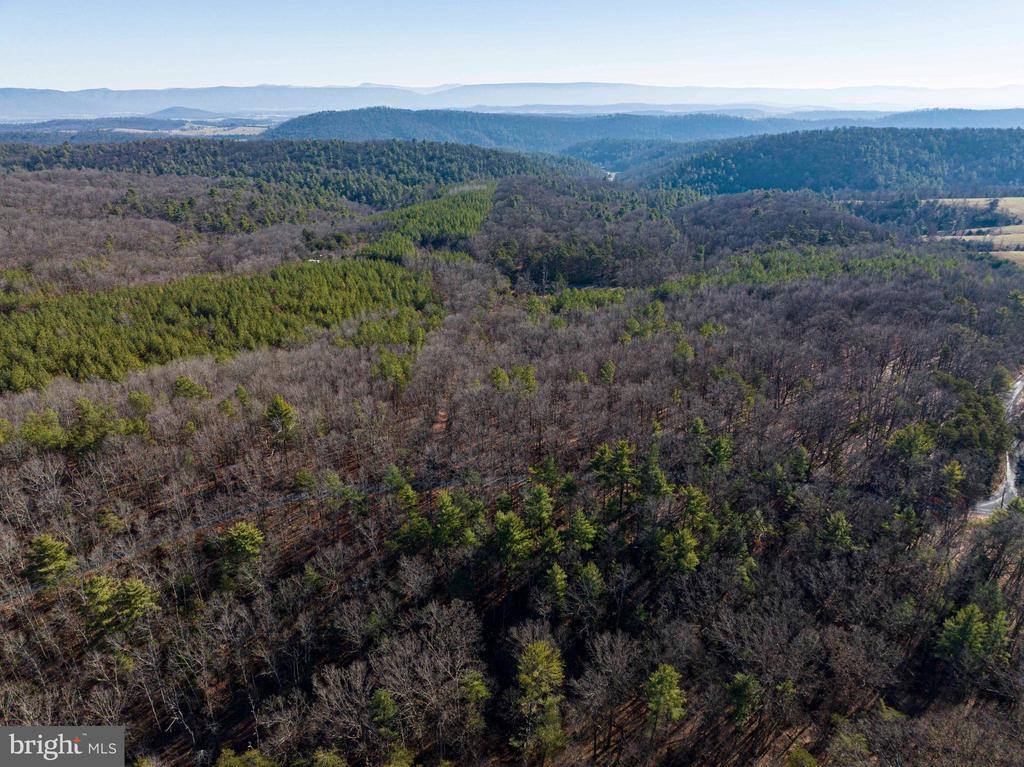 2601 Hepner Road, Mount Jackson, VA 22842