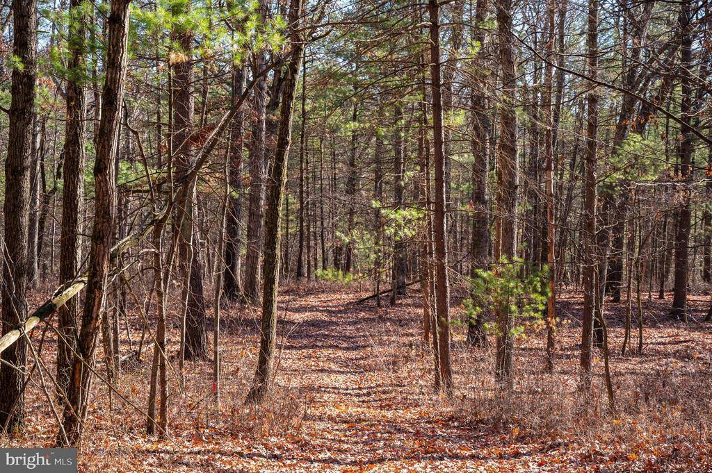 2601 Hepner Road, Mount Jackson, VA 22842