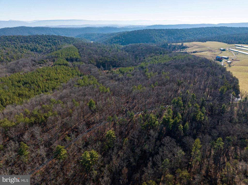 2601 Hepner Road, Mount Jackson, VA 22842