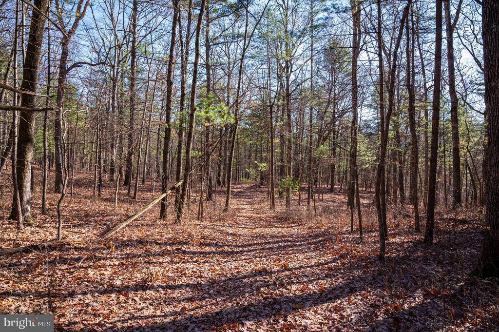 2601 Hepner Road, Mount Jackson, VA 22842