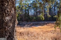 2601 Hepner Road, Mount Jackson, VA 22842