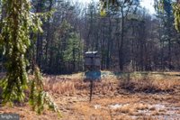 2601 Hepner Road, Mount Jackson, VA 22842